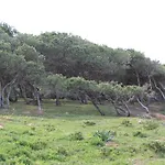 Boa Vista Sul - Terra Da Eira - Raposeira *