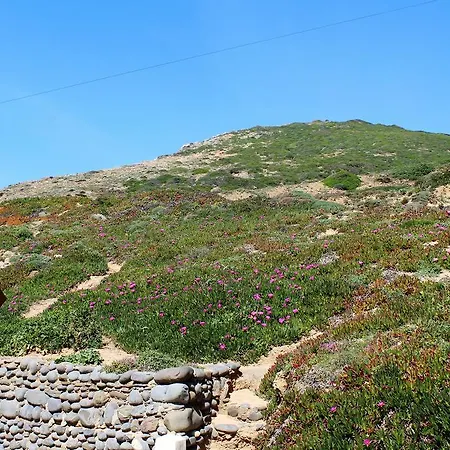 Boa Vista Sul - Terra Da Eira - Raposeira Semesterbostad