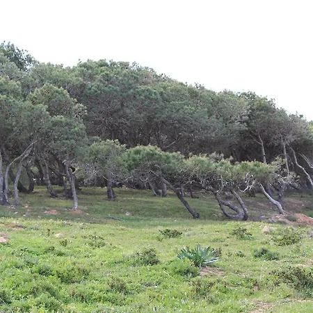 Boa Vista Sul - Terra Da Eira - Raposeira *