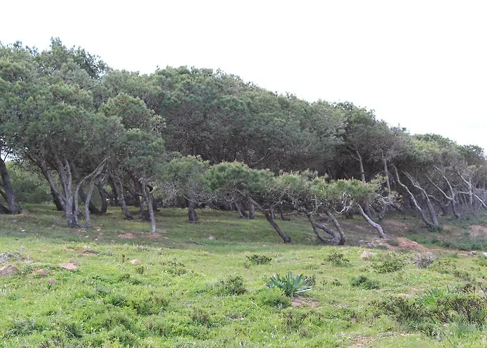 Boa Vista Sul - Terra Da Eira - Raposeira *